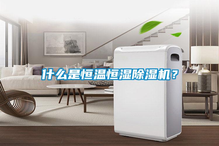 什么是恒溫恒濕除濕機(jī)？