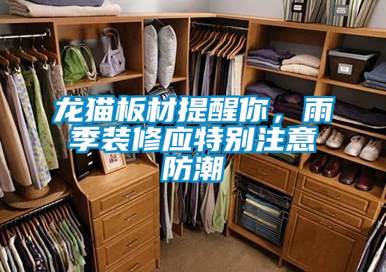 龍貓板材提醒你，雨季裝修應特別注意防潮