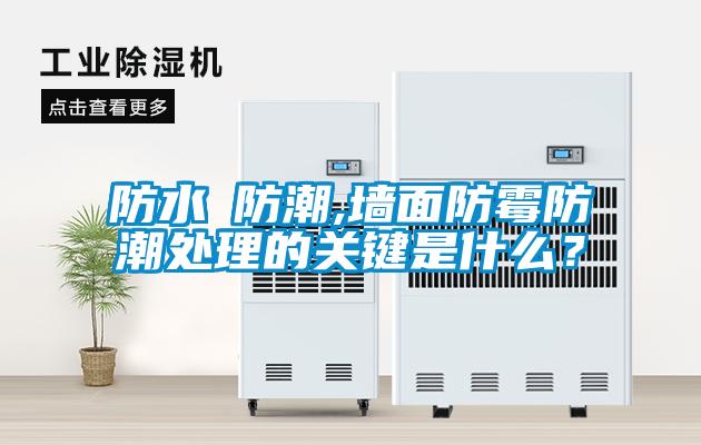 防水≠防潮,墻面防霉防潮處理的關(guān)鍵是什么？