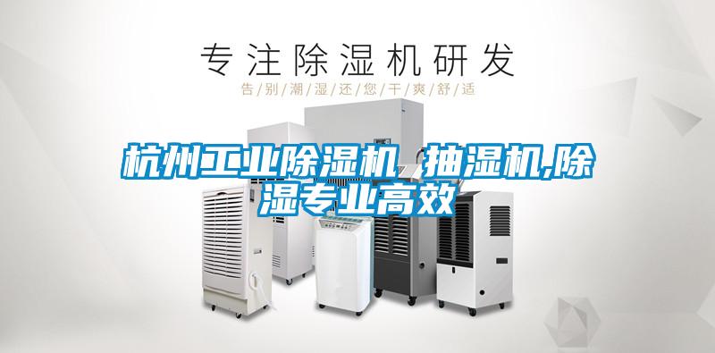 杭州工業(yè)除濕機(jī) 抽濕機(jī),除濕專(zhuān)業(yè)高效
