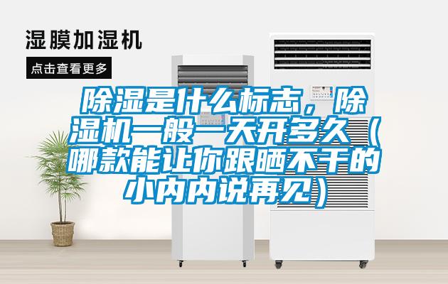除濕是什么標(biāo)志，除濕機(jī)一般一天開多久（哪款能讓你跟曬不干的小內(nèi)內(nèi)說再見）