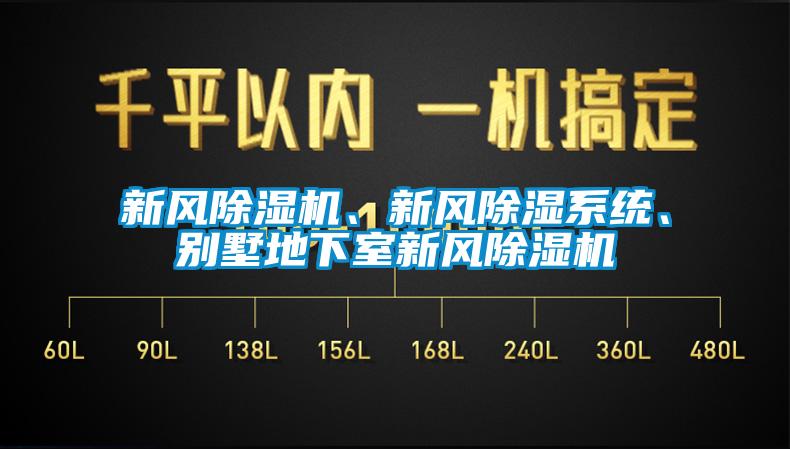 新風(fēng)除濕機(jī)、新風(fēng)除濕系統(tǒng)、別墅地下室新風(fēng)除濕機(jī)