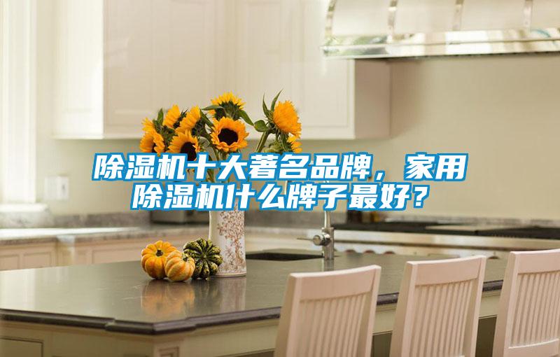 除濕機(jī)十大著名品牌，家用除濕機(jī)什么牌子最好？