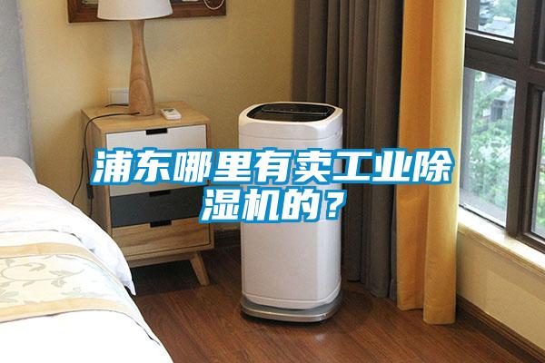 浦東哪里有賣工業(yè)除濕機的？