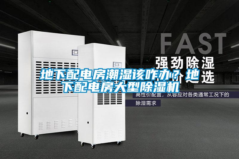 地下配電房潮濕該咋辦？地下配電房大型除濕機(jī)