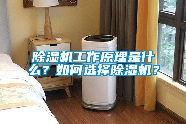 除濕機(jī)工作原理是什么？如何選擇除濕機(jī)？