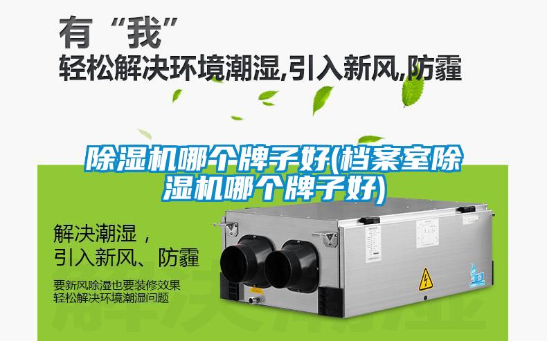 除濕機(jī)哪個牌子好(檔案室除濕機(jī)哪個牌子好)
