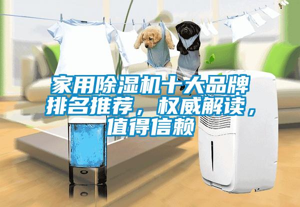 家用除濕機(jī)十大品牌排名推薦，權(quán)威解讀，值得信賴