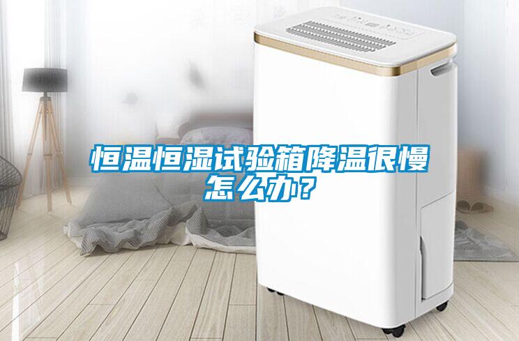 恒溫恒濕試驗(yàn)箱降溫很慢怎么辦？