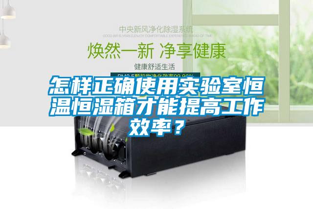 怎樣正確使用實驗室恒溫恒濕箱才能提高工作效率？