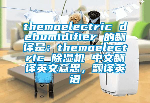 themoelectric dehumidifier 的翻譯是：themoelectric 除濕機(jī) 中文翻譯英文意思，翻譯英語