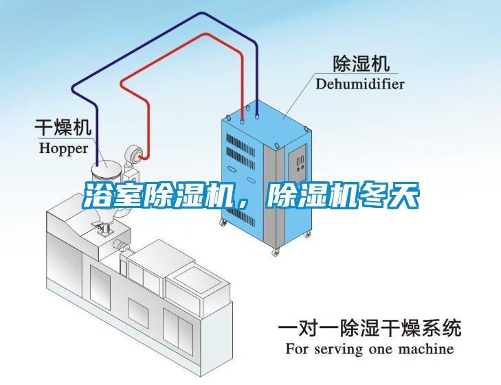 浴室除濕機(jī)，除濕機(jī)冬天