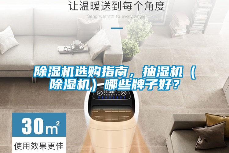 除濕機(jī)選購(gòu)指南，抽濕機(jī)（除濕機(jī)）哪些牌子好？