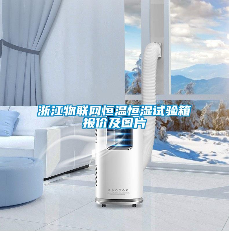 浙江物聯(lián)網恒溫恒濕試驗箱報價及圖片