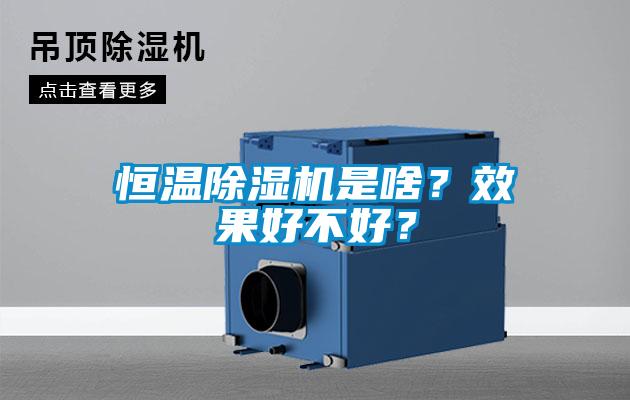 恒溫除濕機(jī)是啥？效果好不好？