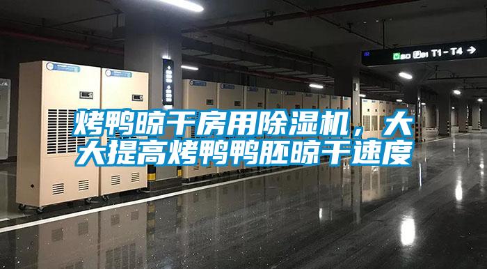 烤鴨晾干房用除濕機，大大提高烤鴨鴨胚晾干速度