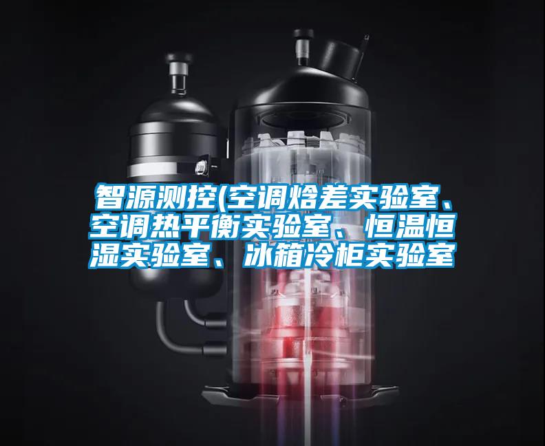 智源測控(空調(diào)焓差實驗室、空調(diào)熱平衡實驗室、恒溫恒濕實驗室、冰箱冷柜實驗室