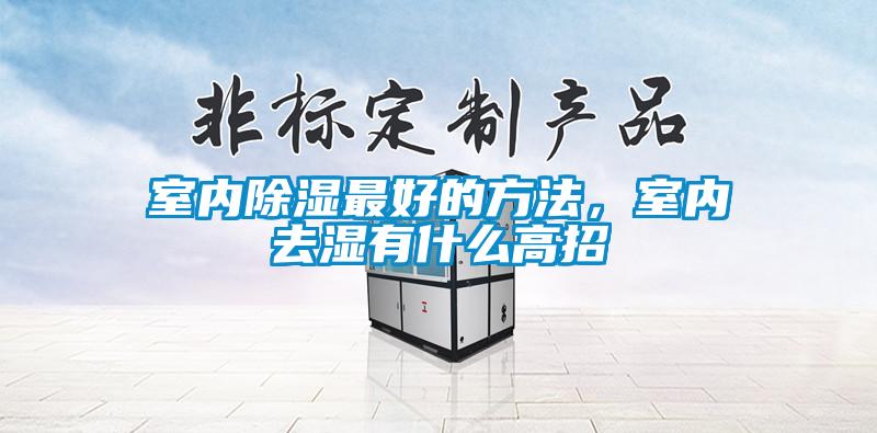 室內(nèi)除濕最好的方法，室內(nèi)去濕有什么高招