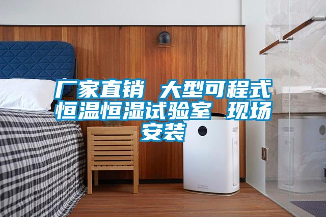 廠家直銷(xiāo) 大型可程式恒溫恒濕試驗(yàn)室 現(xiàn)場(chǎng)安裝