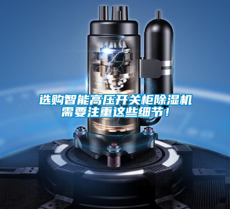 選購智能高壓開關(guān)柜除濕機(jī)需要注重這些細(xì)節(jié)！
