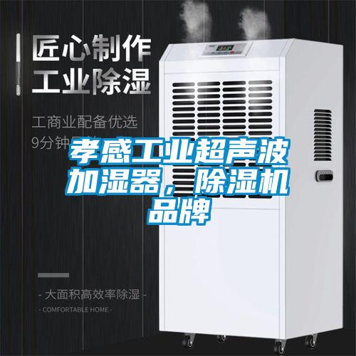 孝感工業(yè)超聲波加濕器，除濕機(jī)品牌