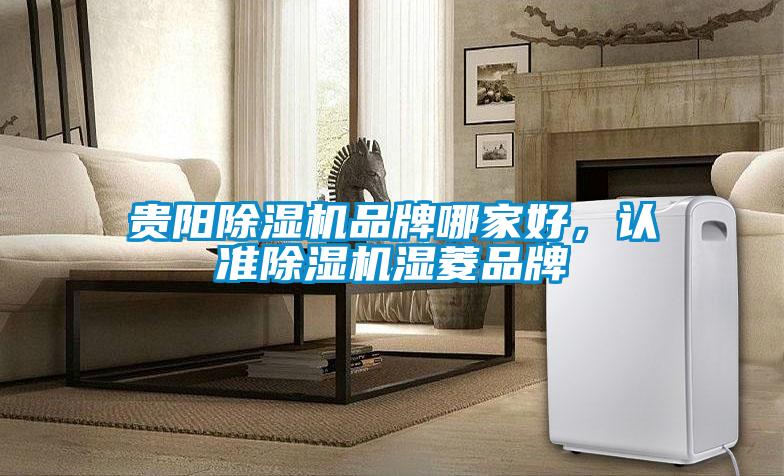 貴陽(yáng)除濕機(jī)品牌哪家好，認(rèn)準(zhǔn)除濕機(jī)濕菱品牌