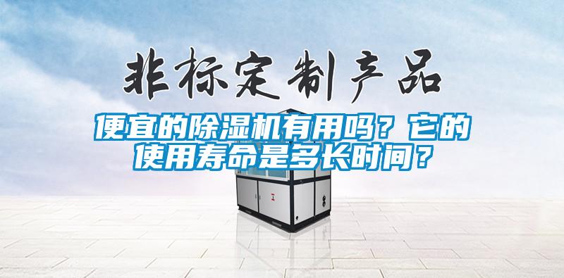 便宜的除濕機(jī)有用嗎？它的使用壽命是多長(zhǎng)時(shí)間？