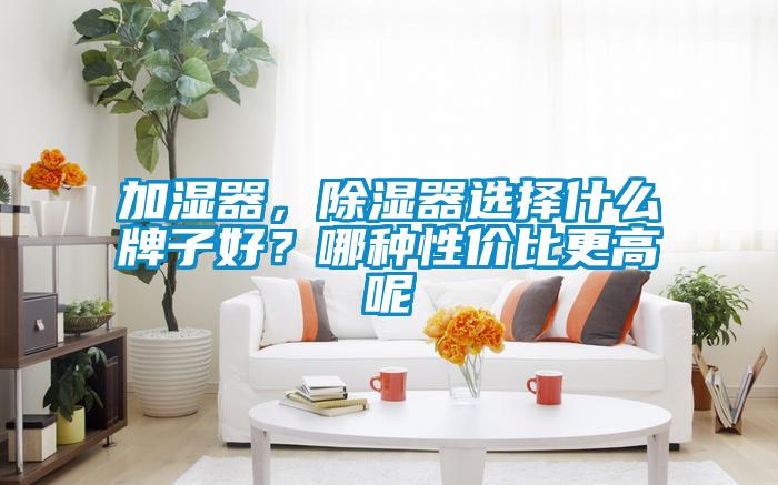 加濕器，除濕器選擇什么牌子好？哪種性價比更高呢