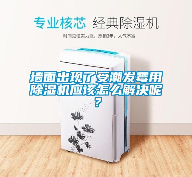 墻面出現(xiàn)了受潮發(fā)霉用除濕機(jī)應(yīng)該怎么解決呢？