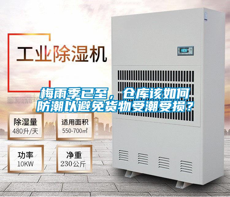 梅雨季已至，倉(cāng)庫(kù)該如何防潮以避免貨物受潮受損？