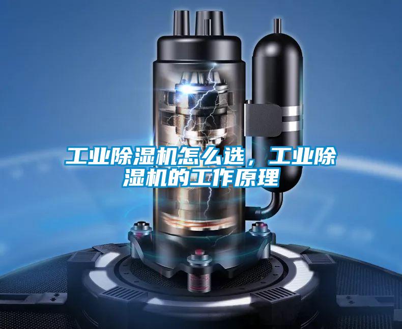 工業(yè)除濕機(jī)怎么選，工業(yè)除濕機(jī)的工作原理