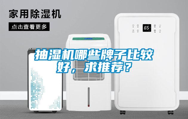 抽濕機(jī)哪些牌子比較好，求推薦？