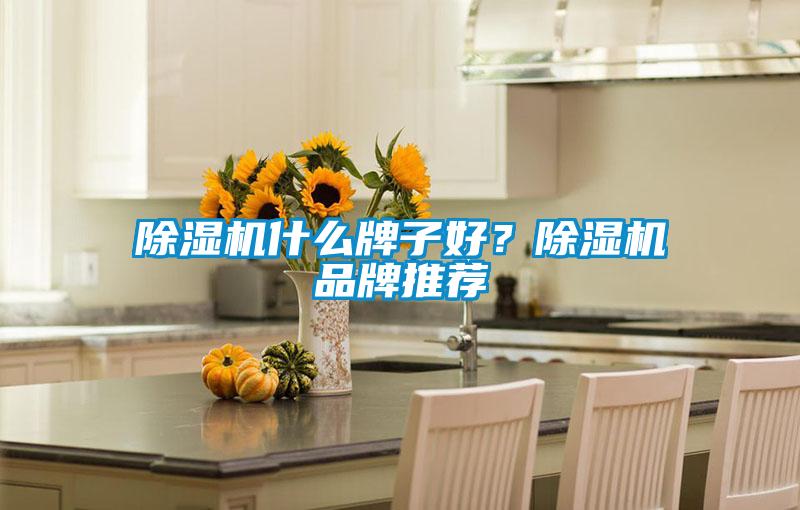 除濕機什么牌子好？除濕機品牌推薦