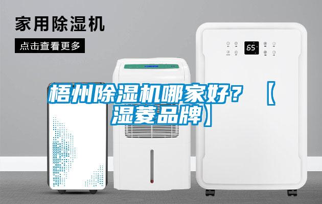梧州除濕機(jī)哪家好？【濕菱品牌】