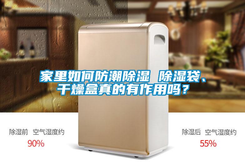 家里如何防潮除濕 除濕袋、干燥盒真的有作用嗎？