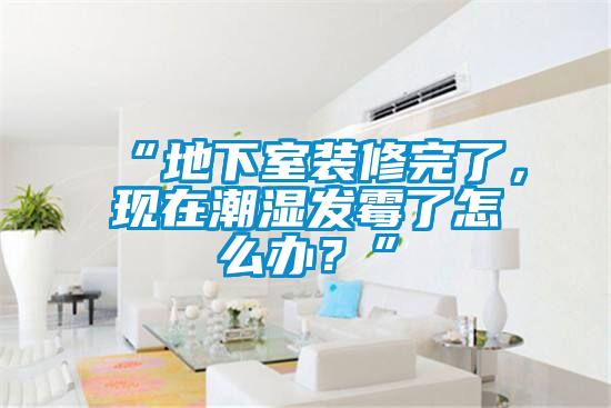 “地下室裝修完了，現(xiàn)在潮濕發(fā)霉了怎么辦？”
