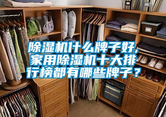 除濕機什么牌子好,家用除濕機十大排行榜都有哪些牌子？