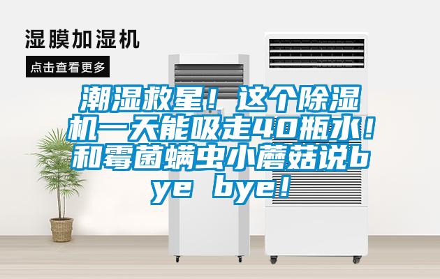 潮濕救星！這個(gè)除濕機(jī)一天能吸走40瓶水！和霉菌螨蟲(chóng)小蘑菇說(shuō)bye bye！