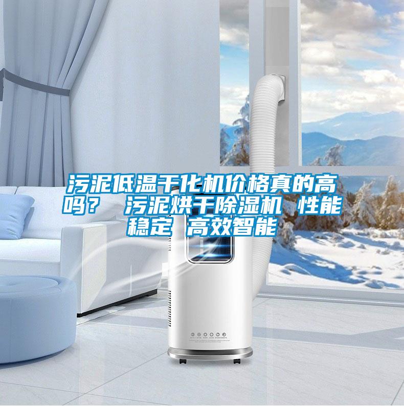 污泥低溫干化機(jī)價格真的高嗎？ 污泥烘干除濕機(jī) 性能穩(wěn)定 高效智能
