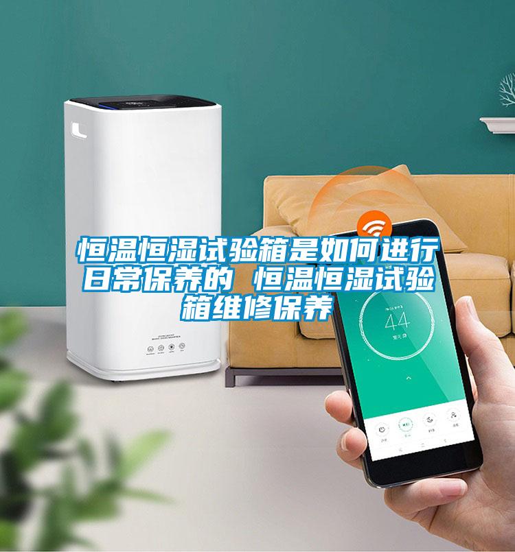 恒溫恒濕試驗箱是如何進(jìn)行日常保養(yǎng)的 恒溫恒濕試驗箱維修保養(yǎng)