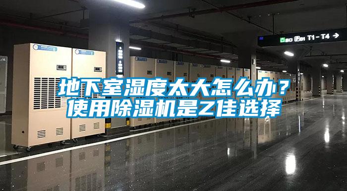 地下室濕度太大怎么辦？使用除濕機是Z佳選擇