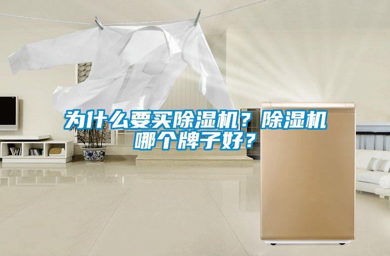 為什么要買除濕機(jī)？除濕機(jī)哪個(gè)牌子好？