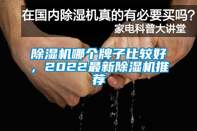 除濕機哪個牌子比較好，2022最新除濕機推薦