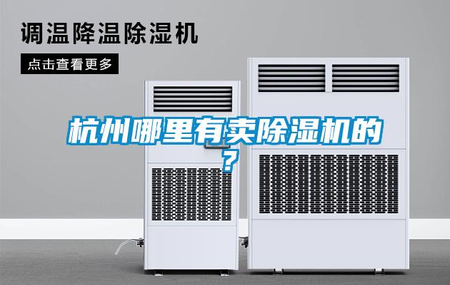 杭州哪里有賣(mài)除濕機(jī)的？