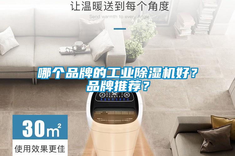 哪個(gè)品牌的工業(yè)除濕機(jī)好？品牌推薦？