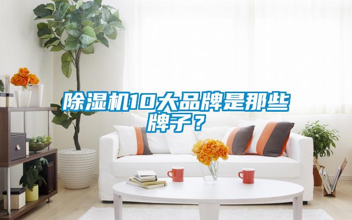 除濕機(jī)10大品牌是那些牌子？
