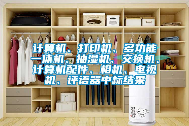 計算機、打印機、多功能一體機、抽濕機、交換機、計算機配件、相機、電視機、評語器中標(biāo)結(jié)果