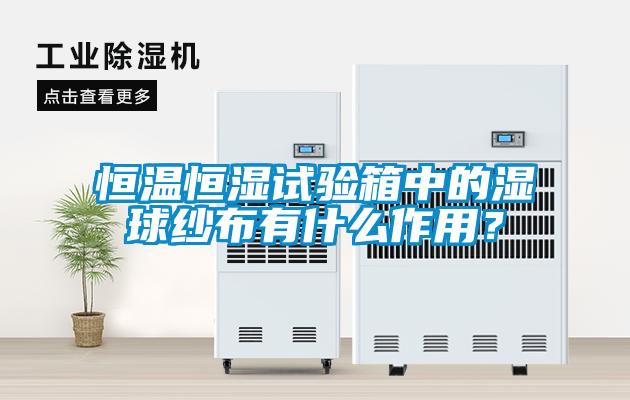 恒溫恒濕試驗箱中的濕球紗布有什么作用？