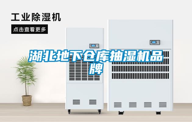 湖北地下倉(cāng)庫抽濕機(jī)品牌