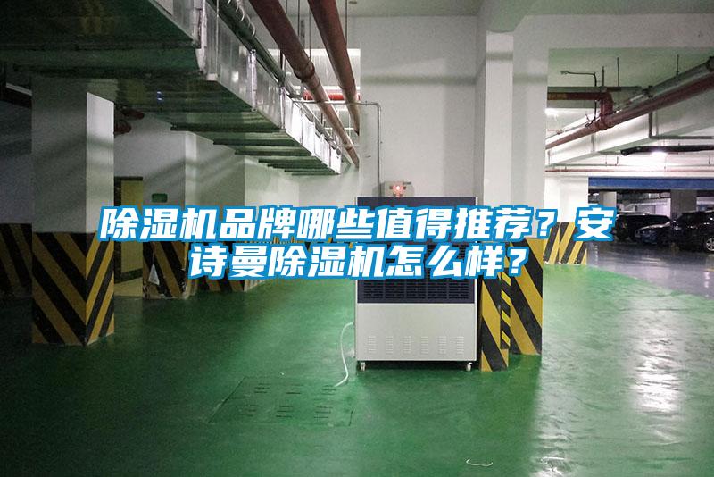 除濕機(jī)品牌哪些值得推薦？安詩(shī)曼除濕機(jī)怎么樣？